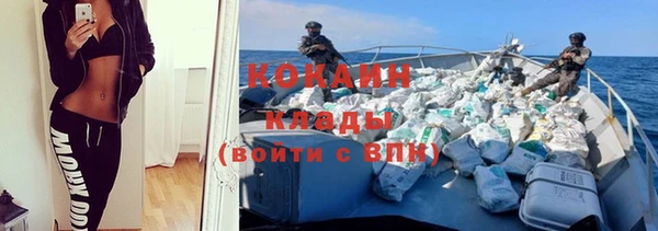 ALPHA PVP Остров