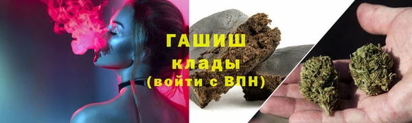 ALPHA PVP Остров