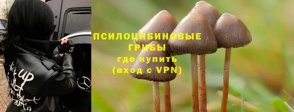 мяу мяу мука Осташков