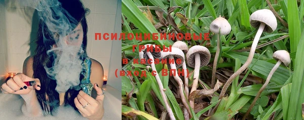 ALPHA PVP Остров