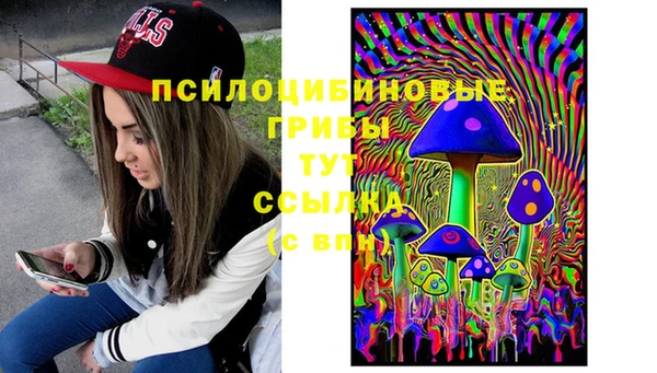 мяу мяу мука Осташков