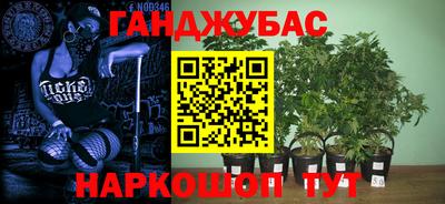 Альфа ПВП Новокубанск