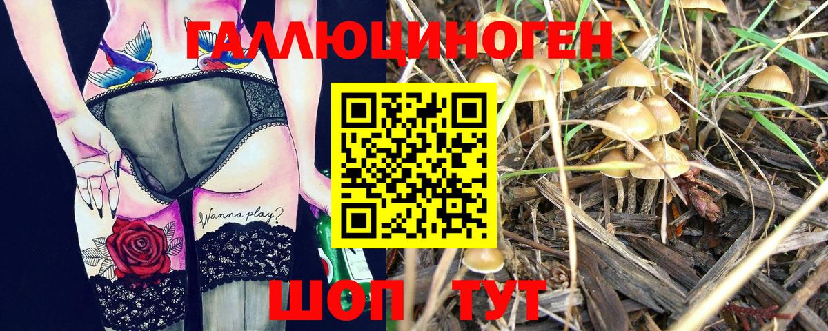 Ржев  Псилоцибиновые грибы Magic Shrooms  Вход с VPN  Галлюциногенные грибы мухоморы 
