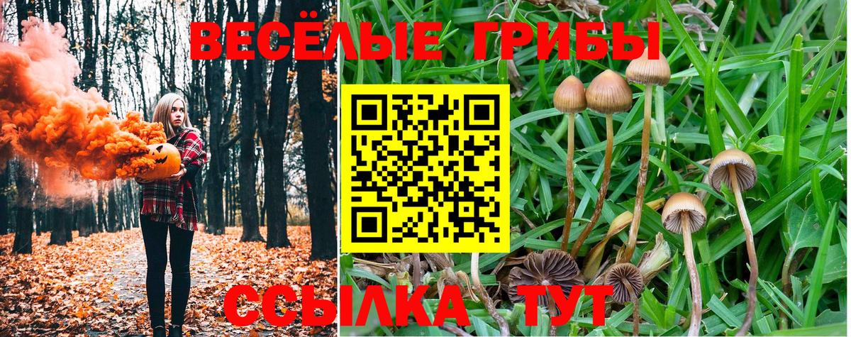 Псилоцибиновые грибы MAGIC MUSHROOMS Ржев